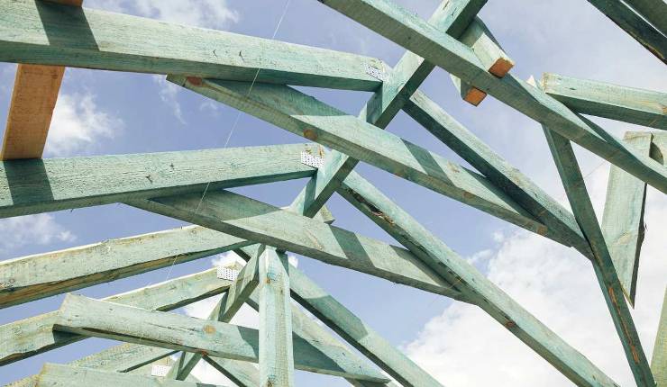 Científicos vascos y chinos desarrollan madera reforzada con hongos más resistente que el acero inoxidable